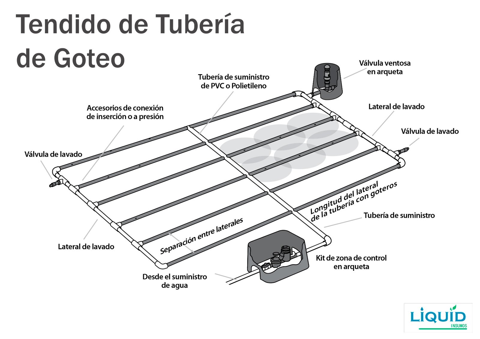 Detalle de tubería de goteo subterráneo Rain Bird XFS instalada